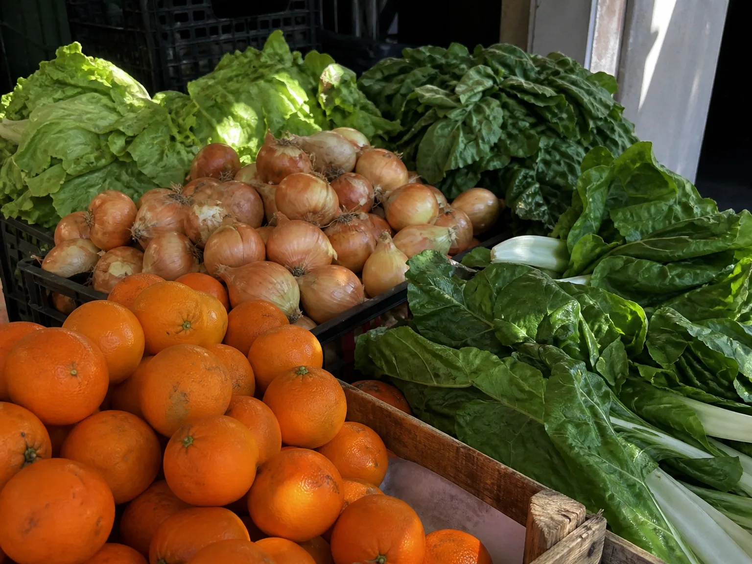 Produtos coloridos de mercado enchem caixas com verduras, cebolas e citrinos.
