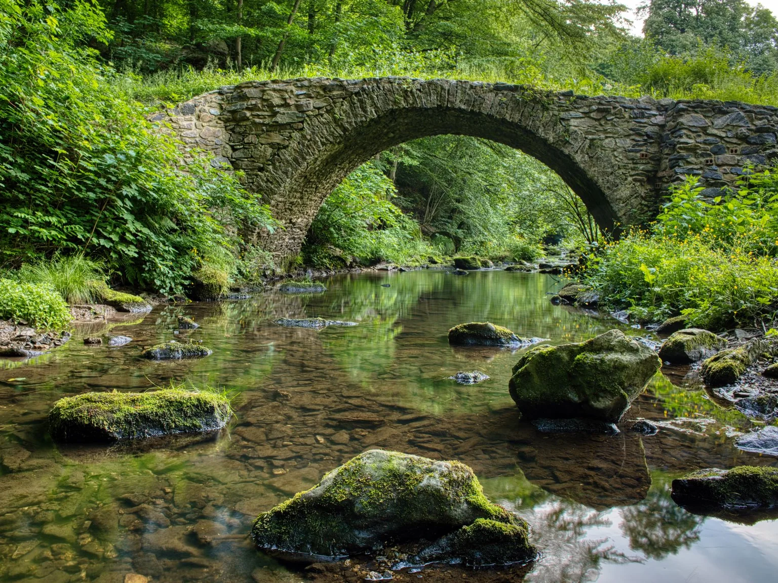 Un puente de piedra cruza un arroyo claro en un entorno boscoso verde.