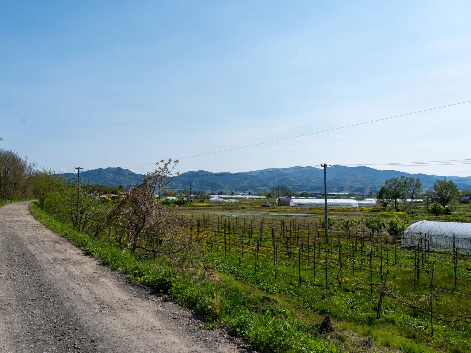 Um caminho rural segue junto a campos com montanhas baixas ao fundo.