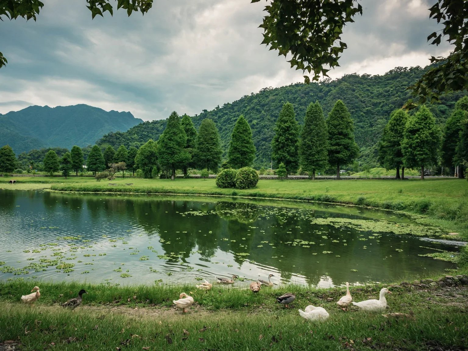 Uma paisagem verde junto a um lago mostra arvores aparadas, montanhas e agua calma.