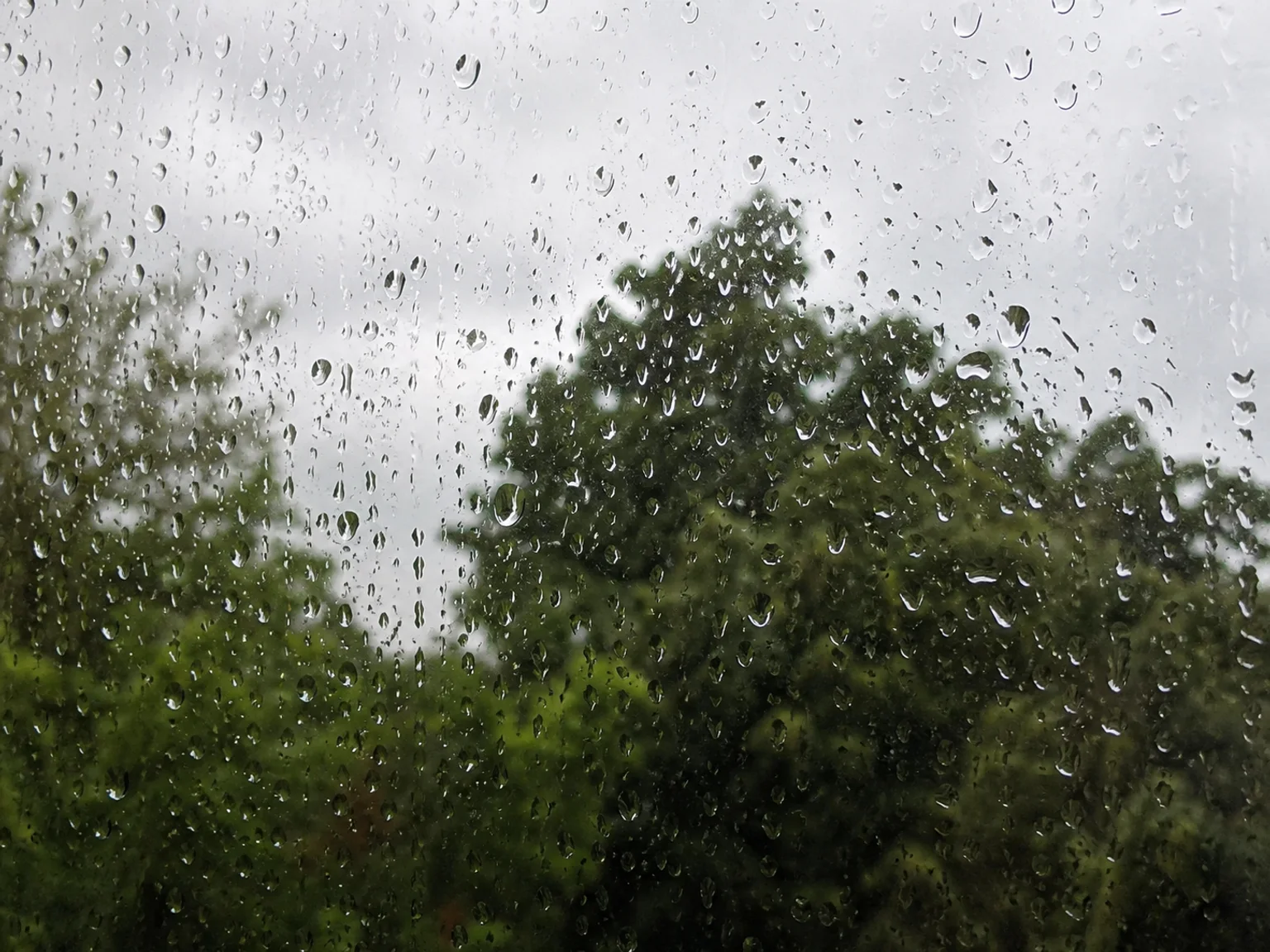 Gotas de chuva cobrem uma janela com arvores desfocadas do outro lado.